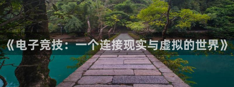 乐鱼电竞英雄联盟app官方：《电子竞技：一个连接现实与虚拟的世界》