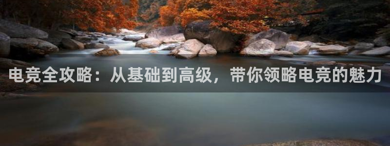 乐鱼电竞官网：电竞全攻略：从基础到高级，带你领略电竞的魅力