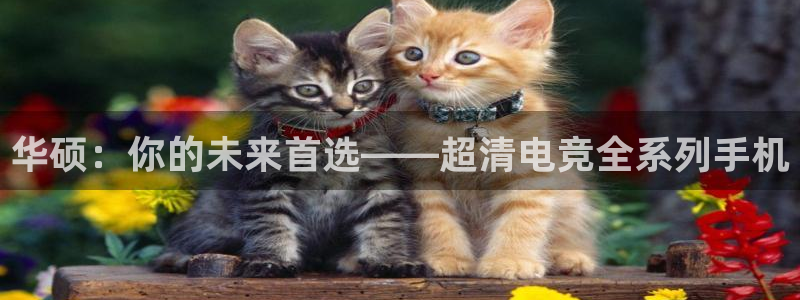 乐鱼电竞平台：华硕：你的未来首选——超清电竞全系列手机