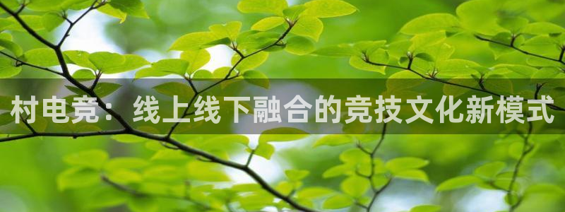 乐鱼电竞app：村电竞：线上线下融合的竞技文化新模式