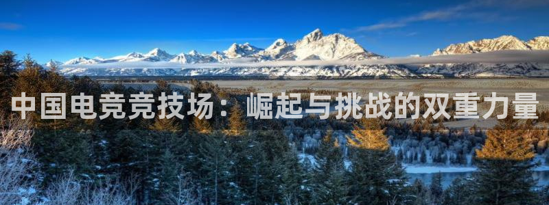 乐鱼电竞官网：中国电竞竞技场：崛起与挑战的双重力量