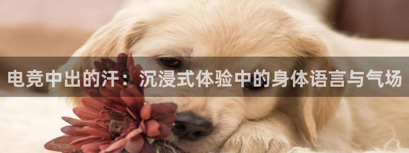乐鱼电竞app下载：电竞中出的汗：沉浸式体验中的身体语言与气场
