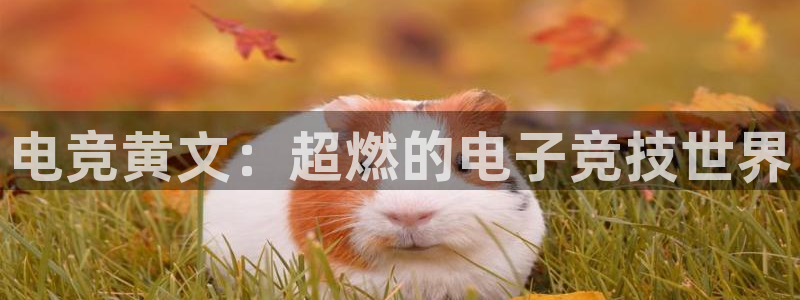 乐鱼电竞app下载：电竞黄文：超燃的电子竞技世界