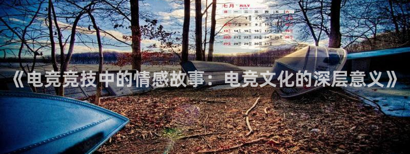 乐鱼电竞app下载：《电竞竞技中的情感故事：电竞文化的深层意义》