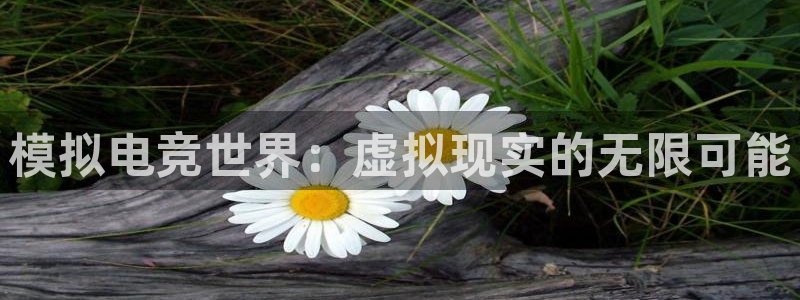 乐鱼电竞英雄联盟app官方：模拟电竞世界：虚拟现实的无限可能